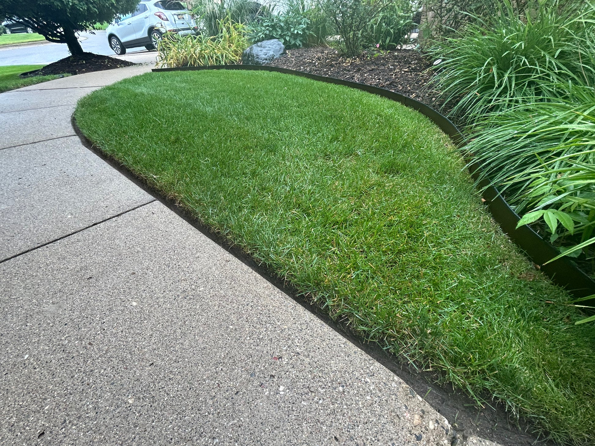 EdgePro Corten Steel Landscape Edging - 20ft Section